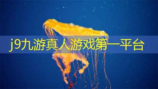 j9九游真人游戏第一品牌：外国3d游戏中文配音