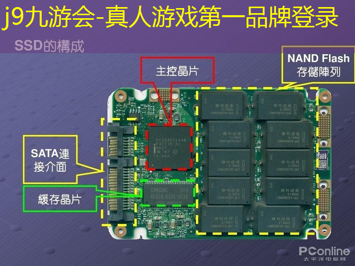 j9九游会官网-真人游戏第一品牌：昆虫小程序游戏怎么玩的