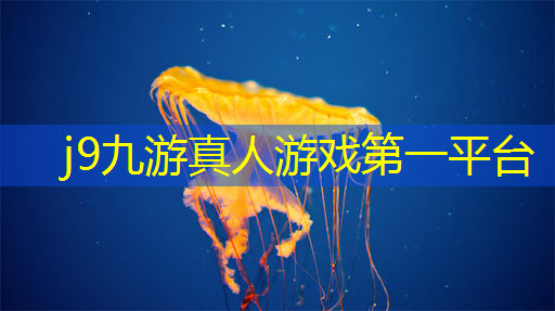 j9九游真人游戏第一品牌：国王游戏抽牌程序入口