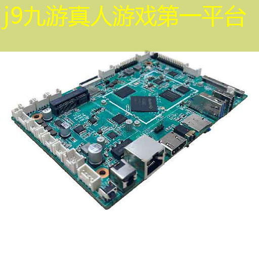 想成为职业打拳选手的条件
