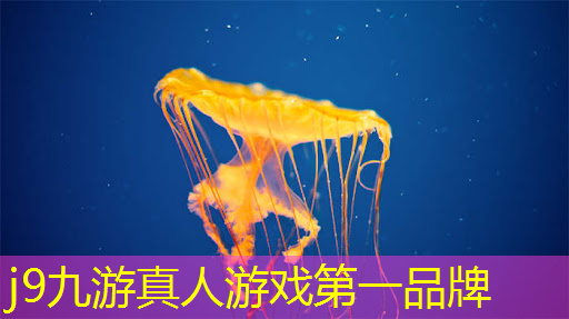 外国3d游戏中文配音
