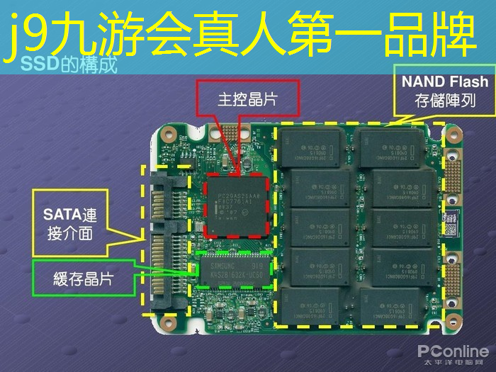 昆虫小程序游戏怎么玩的